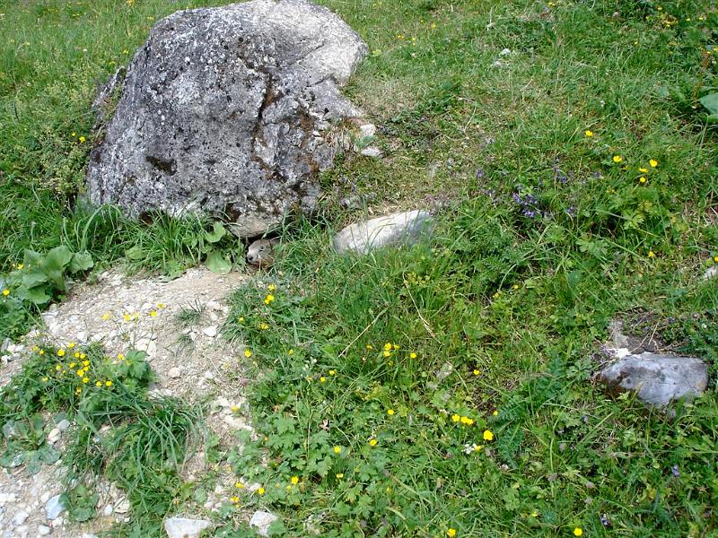 Refuge des glieres (6)